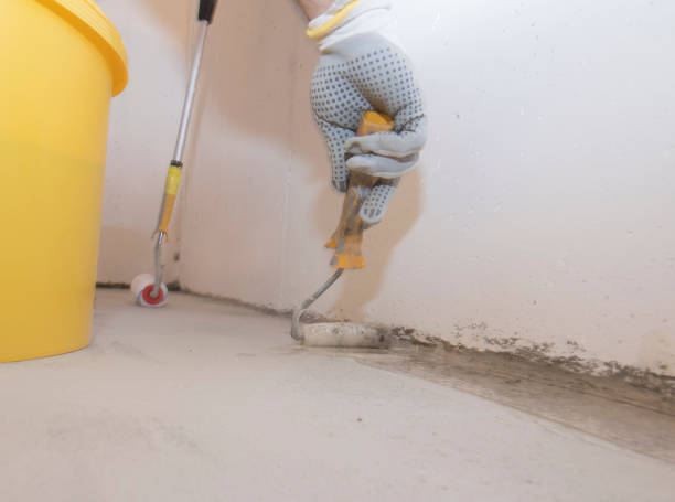 Best Pest Exclusion Services  in Newcastle, WA